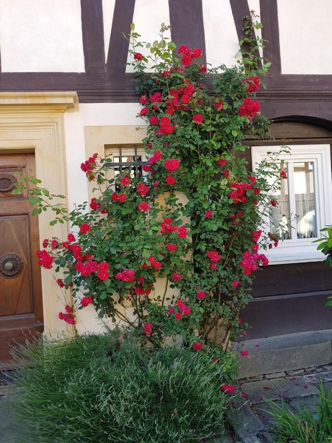 Fewo Niedere Muehlwiese Apartamento Großschönau Exterior foto