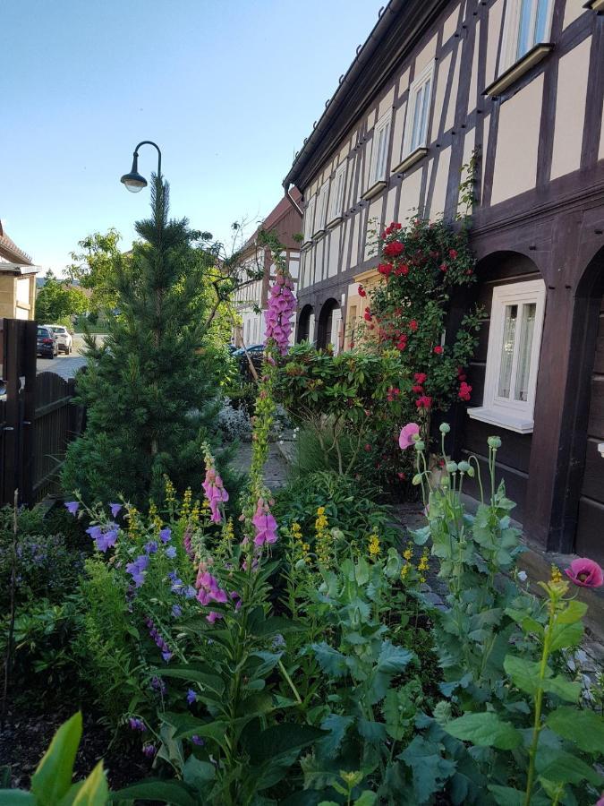 Fewo Niedere Muehlwiese Apartamento Großschönau Exterior foto